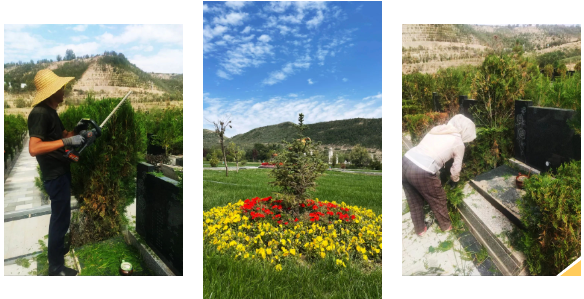 亿万先生MR·(中国集团)官方网站