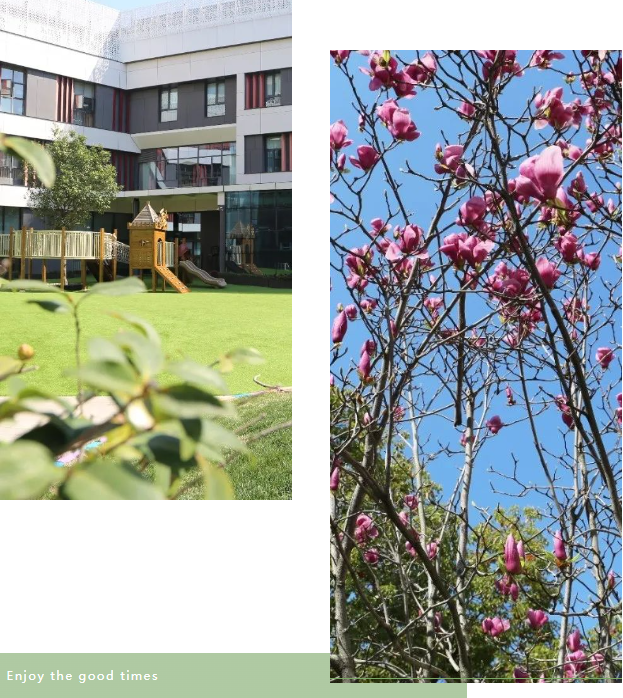 亿万先生MR·(中国集团)官方网站