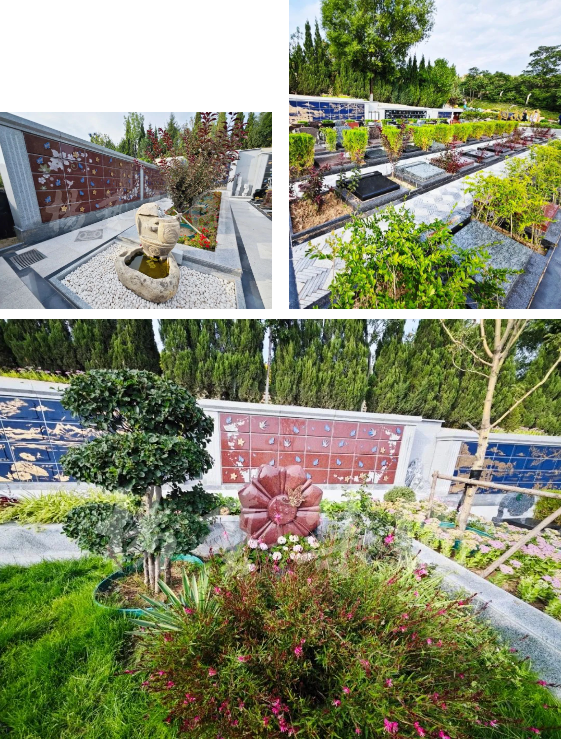 亿万先生MR·(中国集团)官方网站