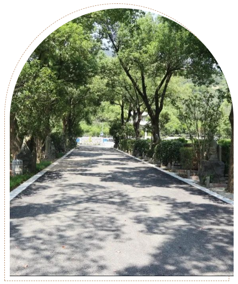 亿万先生MR·(中国集团)官方网站