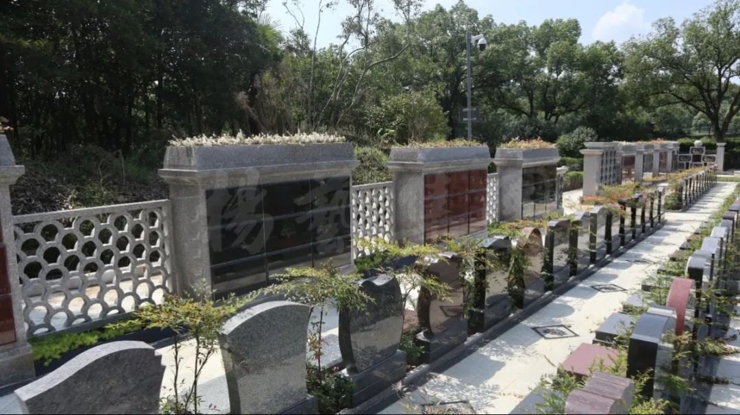 亿万先生MR·(中国集团)官方网站