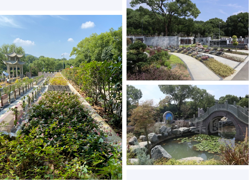 亿万先生MR·(中国集团)官方网站