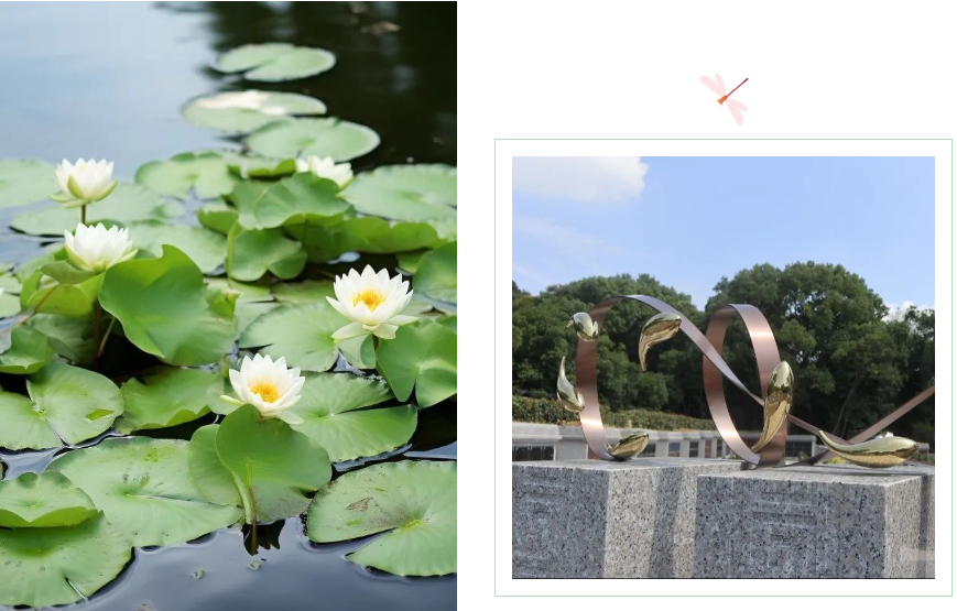 亿万先生MR·(中国集团)官方网站