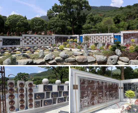 亿万先生MR·(中国集团)官方网站