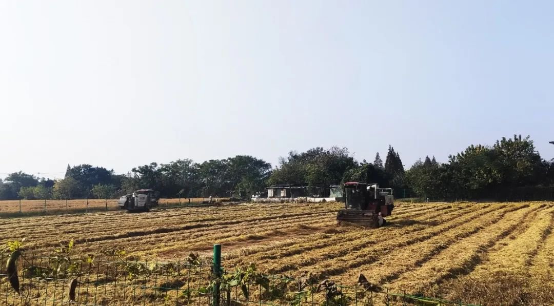 亿万先生MR·(中国集团)官方网站