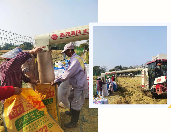 亿万先生MR·(中国集团)官方网站