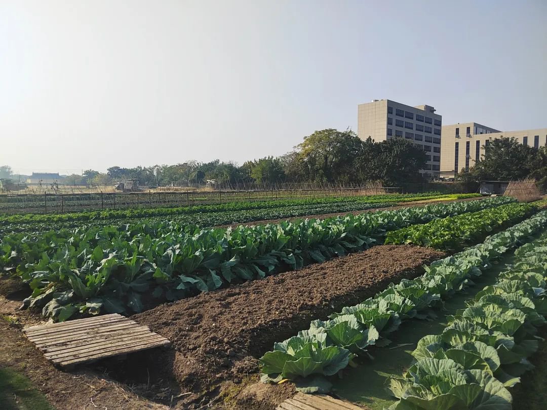 亿万先生MR·(中国集团)官方网站