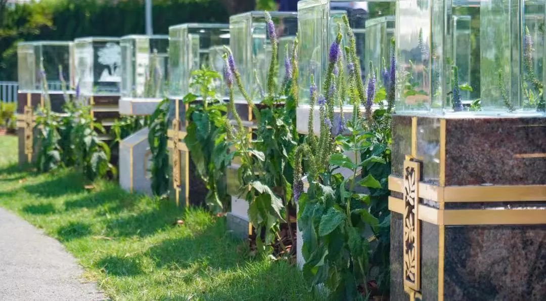 亿万先生MR·(中国集团)官方网站