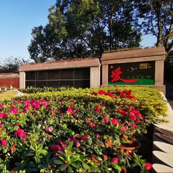 亿万先生MR·(中国集团)官方网站