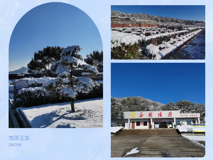 亿万先生MR·(中国集团)官方网站