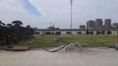 老墓园微刷新，，，，，，，助力都会人文眷注