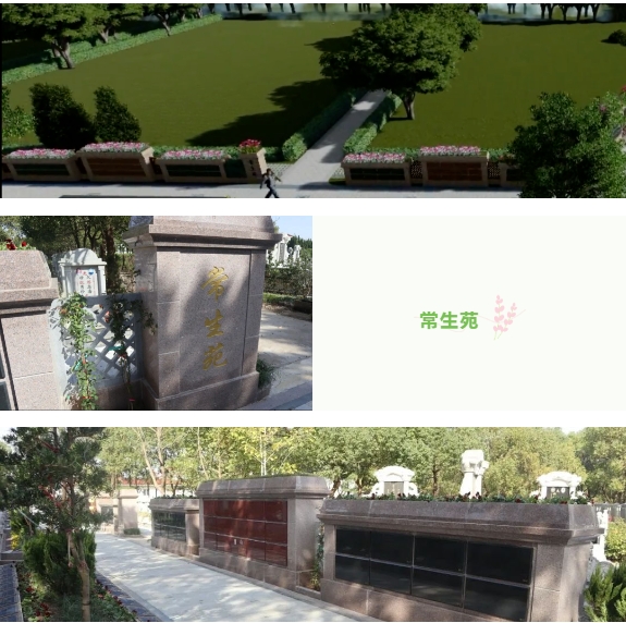 亿万先生MR·(中国集团)官方网站