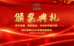 2024年亿万先生MR集团迎新春年会暨颁奖仪式盛放纵行