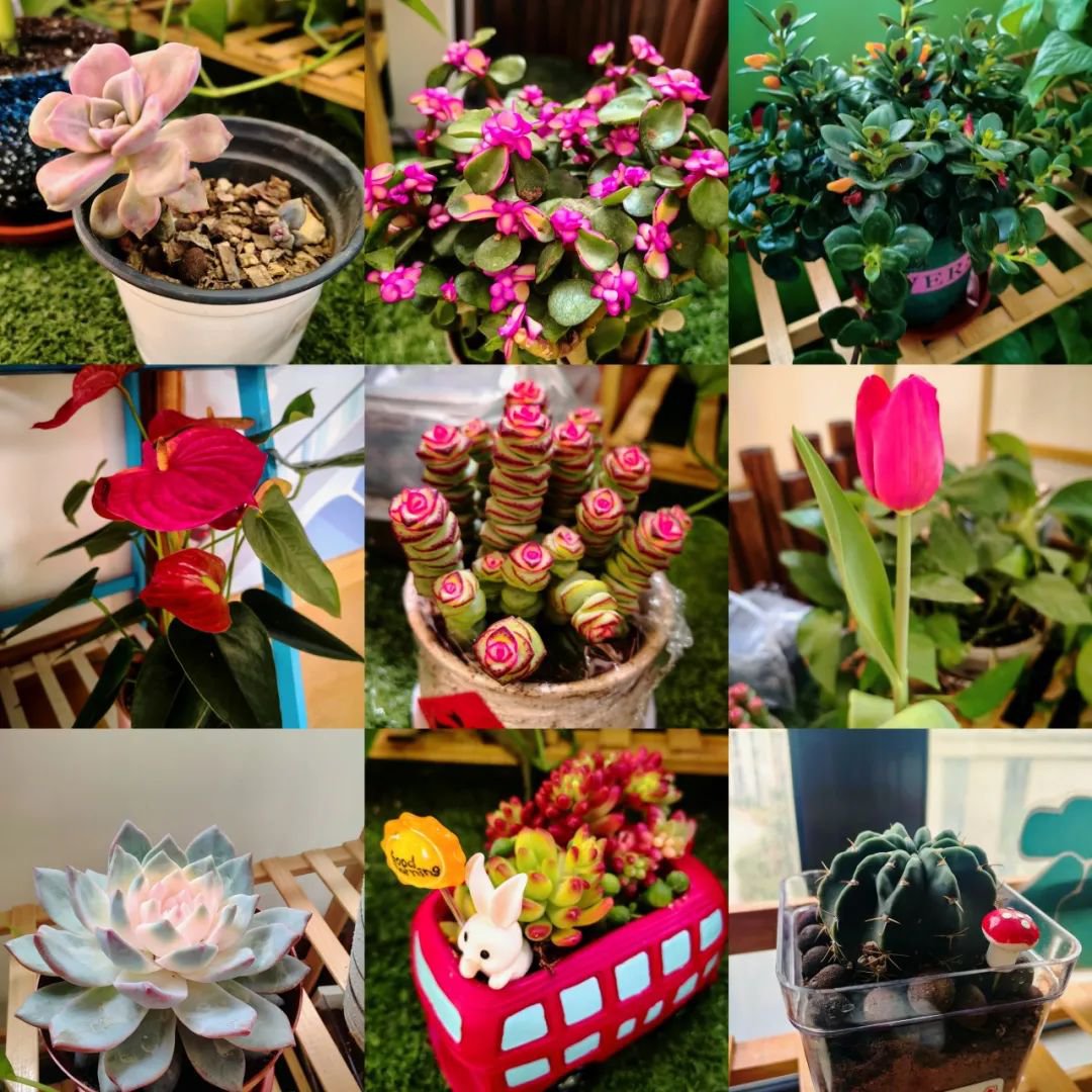 亿万先生MR·(中国集团)官方网站