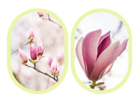 亿万先生MR·(中国集团)官方网站