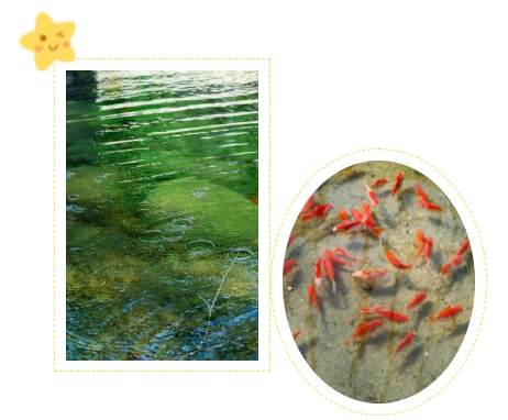 亿万先生MR·(中国集团)官方网站