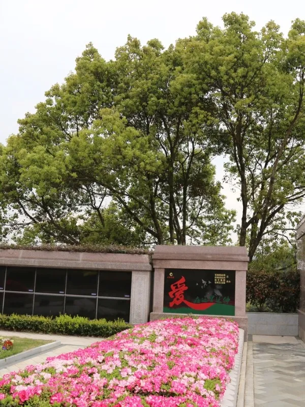 亿万先生MR·(中国集团)官方网站