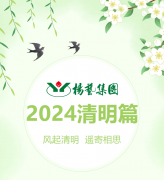 风起清明 遥寄相思|亿万先生MR集团?2024清明篇