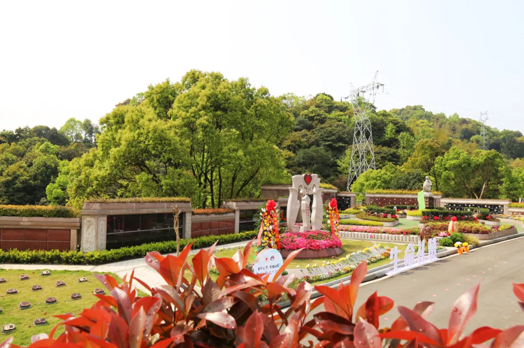 亿万先生MR·(中国集团)官方网站