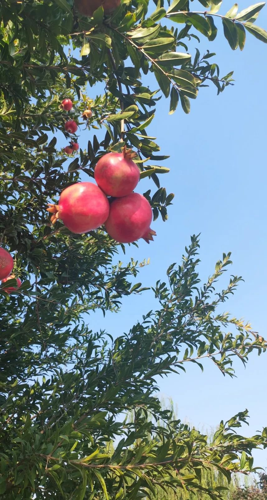 亿万先生MR·(中国集团)官方网站