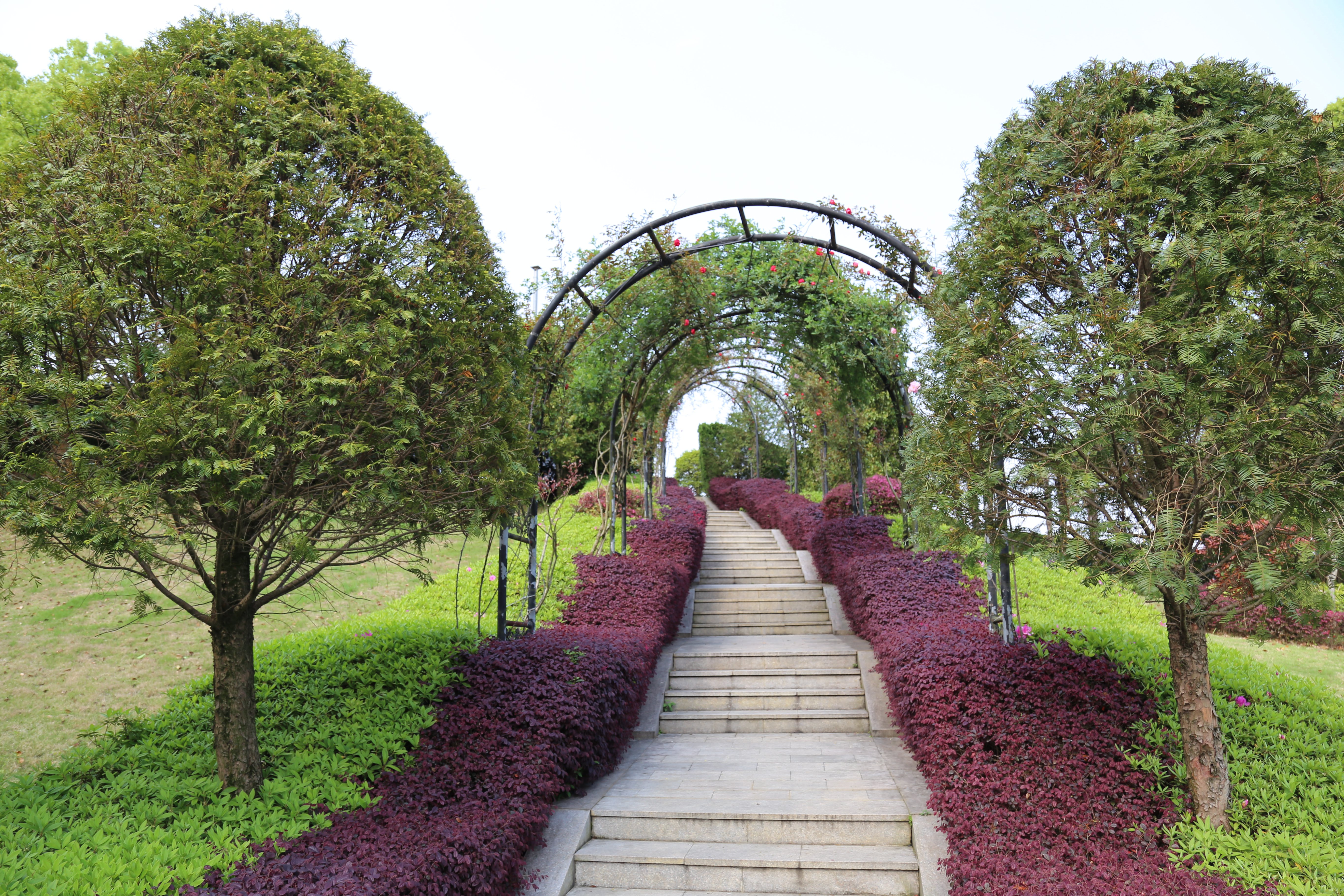 亿万先生MR·(中国集团)官方网站