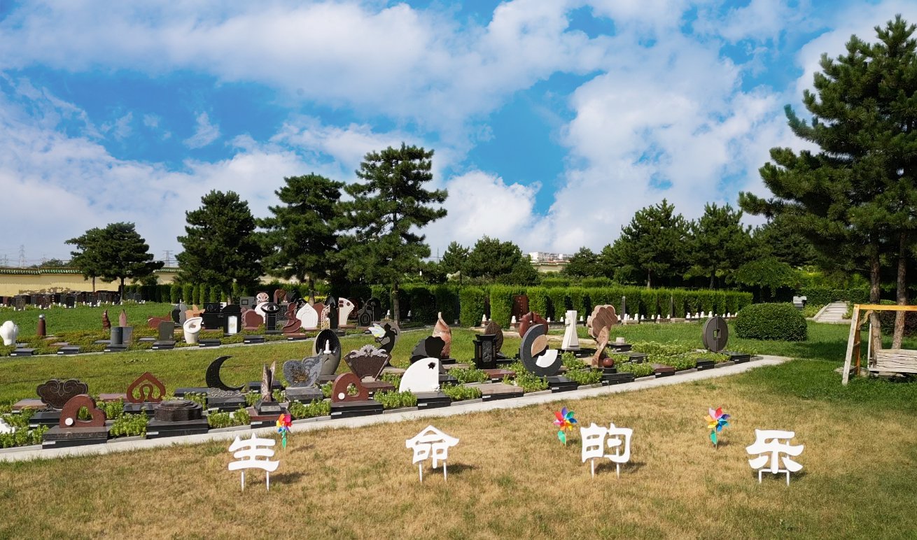 共赢之道：亿万先生MR集团BOT相助模式的优势与效益剖析