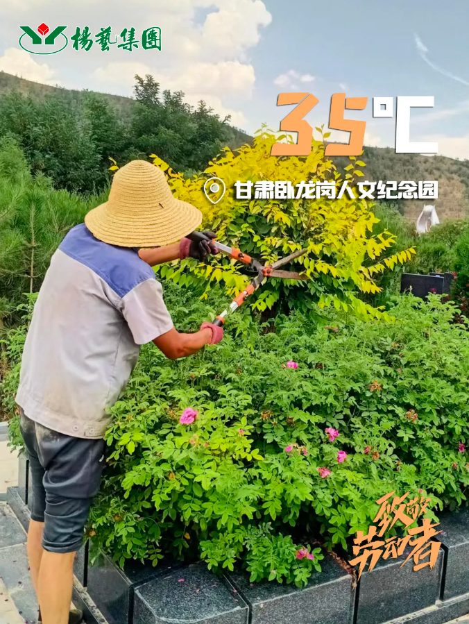 亿万先生MR·(中国集团)官方网站