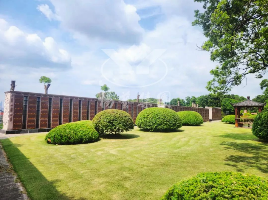 亿万先生MR·(中国集团)官方网站