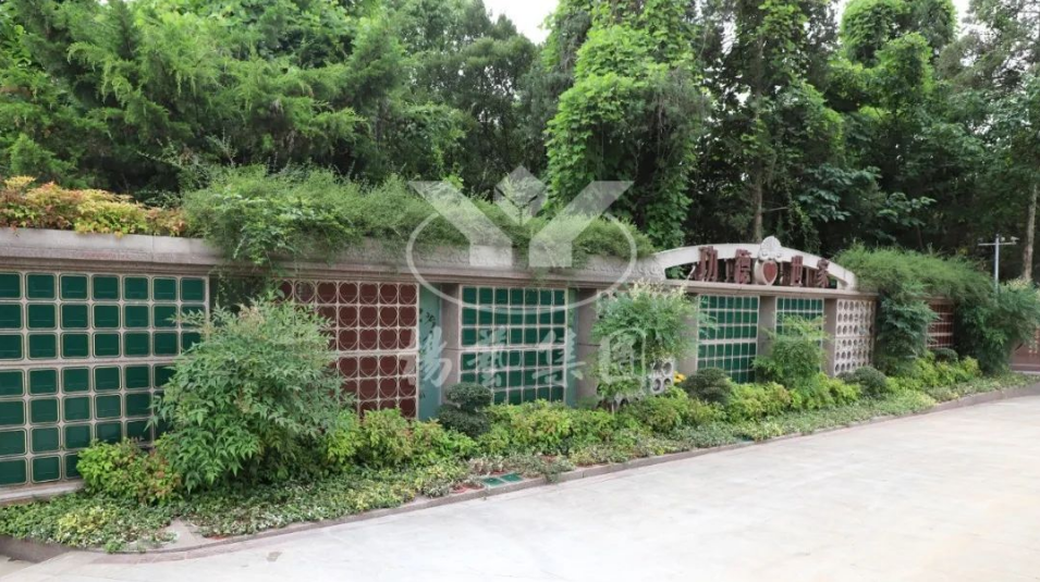 亿万先生MR·(中国集团)官方网站