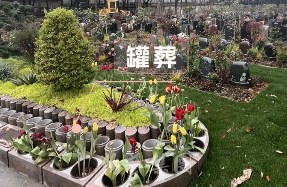 亿万先生MR·(中国集团)官方网站