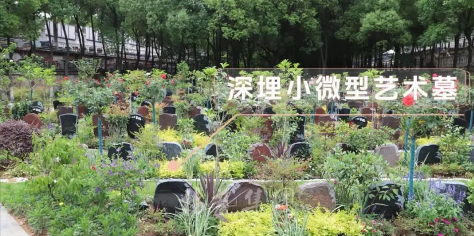 亿万先生MR·(中国集团)官方网站