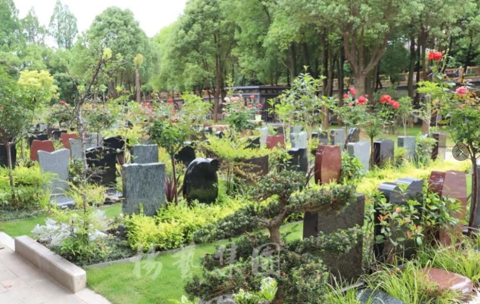 亿万先生MR·(中国集团)官方网站