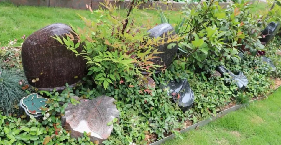 亿万先生MR·(中国集团)官方网站