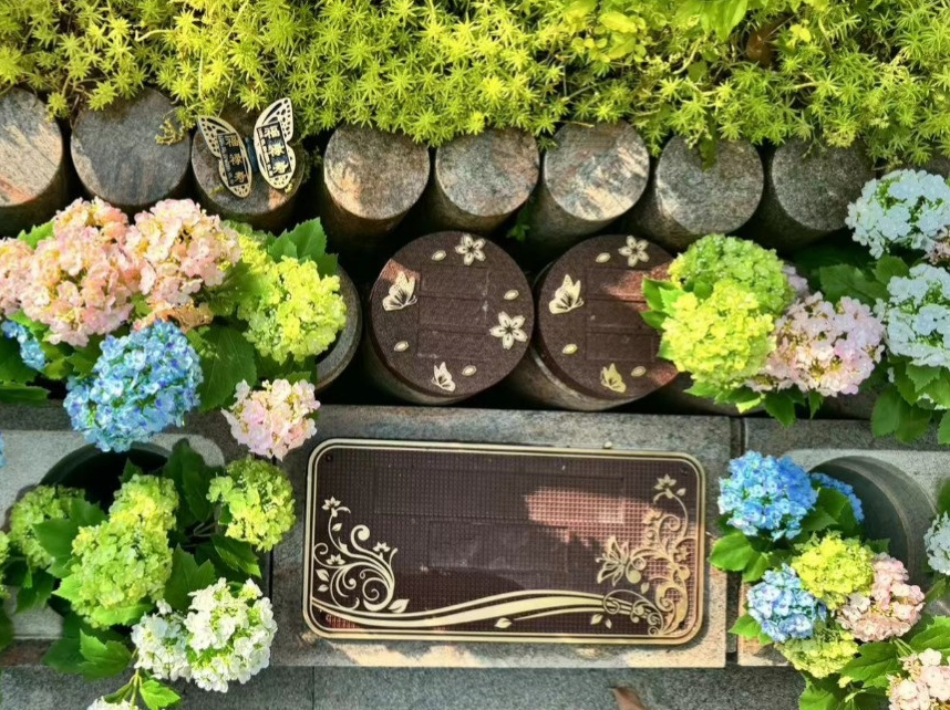 亿万先生MR·(中国集团)官方网站