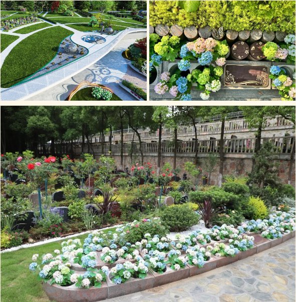 亿万先生MR·(中国集团)官方网站