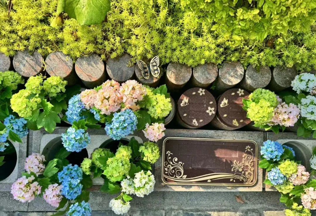 亿万先生MR·(中国集团)官方网站