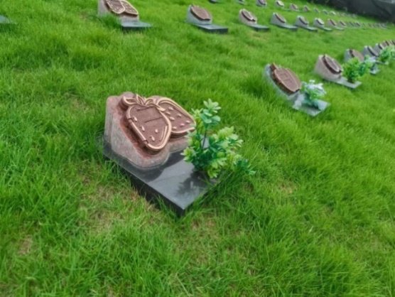 亿万先生MR·(中国集团)官方网站