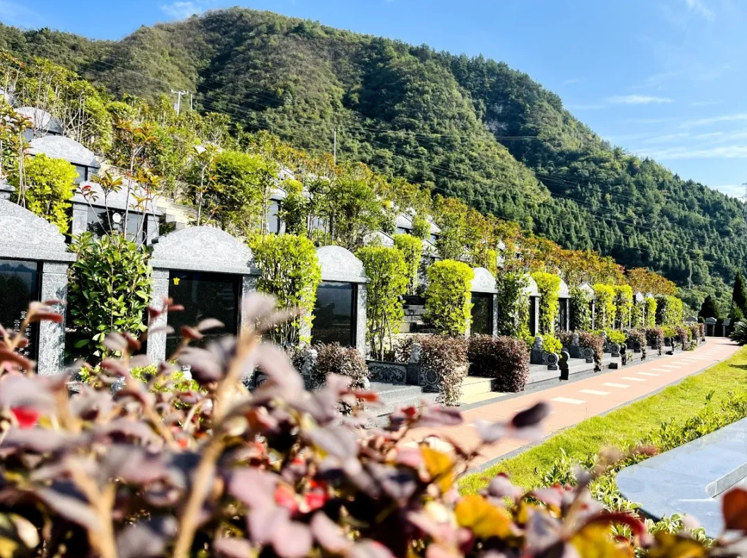 亿万先生MR·(中国集团)官方网站