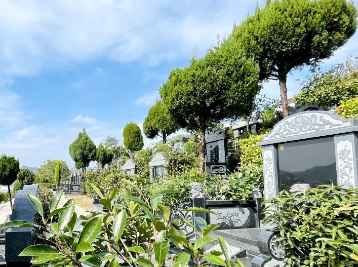 亿万先生MR·(中国集团)官方网站