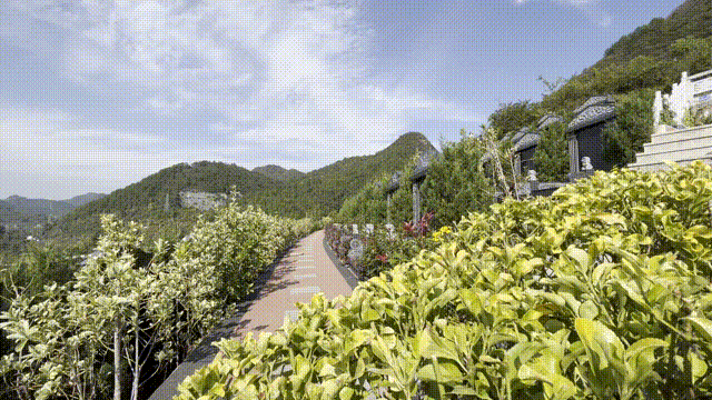 亿万先生MR·(中国集团)官方网站