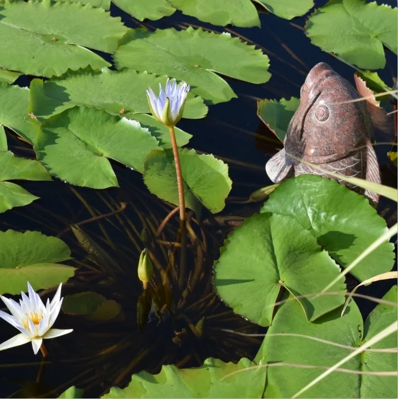 亿万先生MR·(中国集团)官方网站