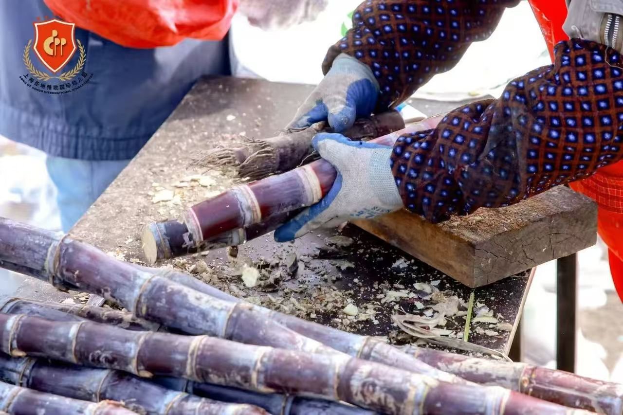 亿万先生MR·(中国集团)官方网站