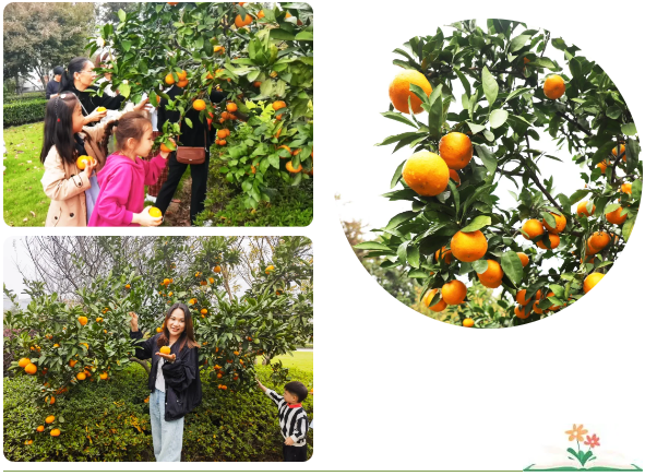 亿万先生MR·(中国集团)官方网站