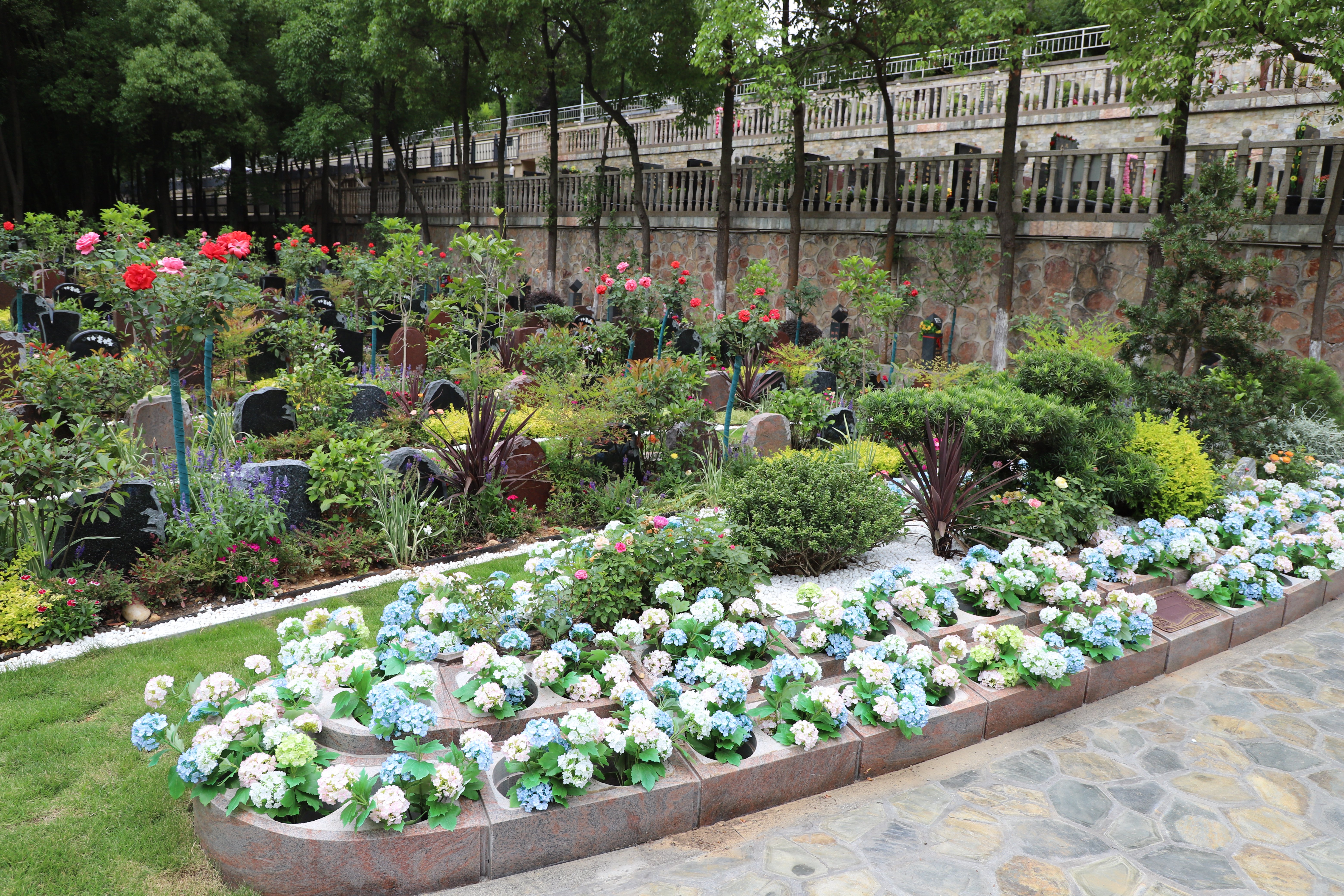 亿万先生MR·(中国集团)官方网站