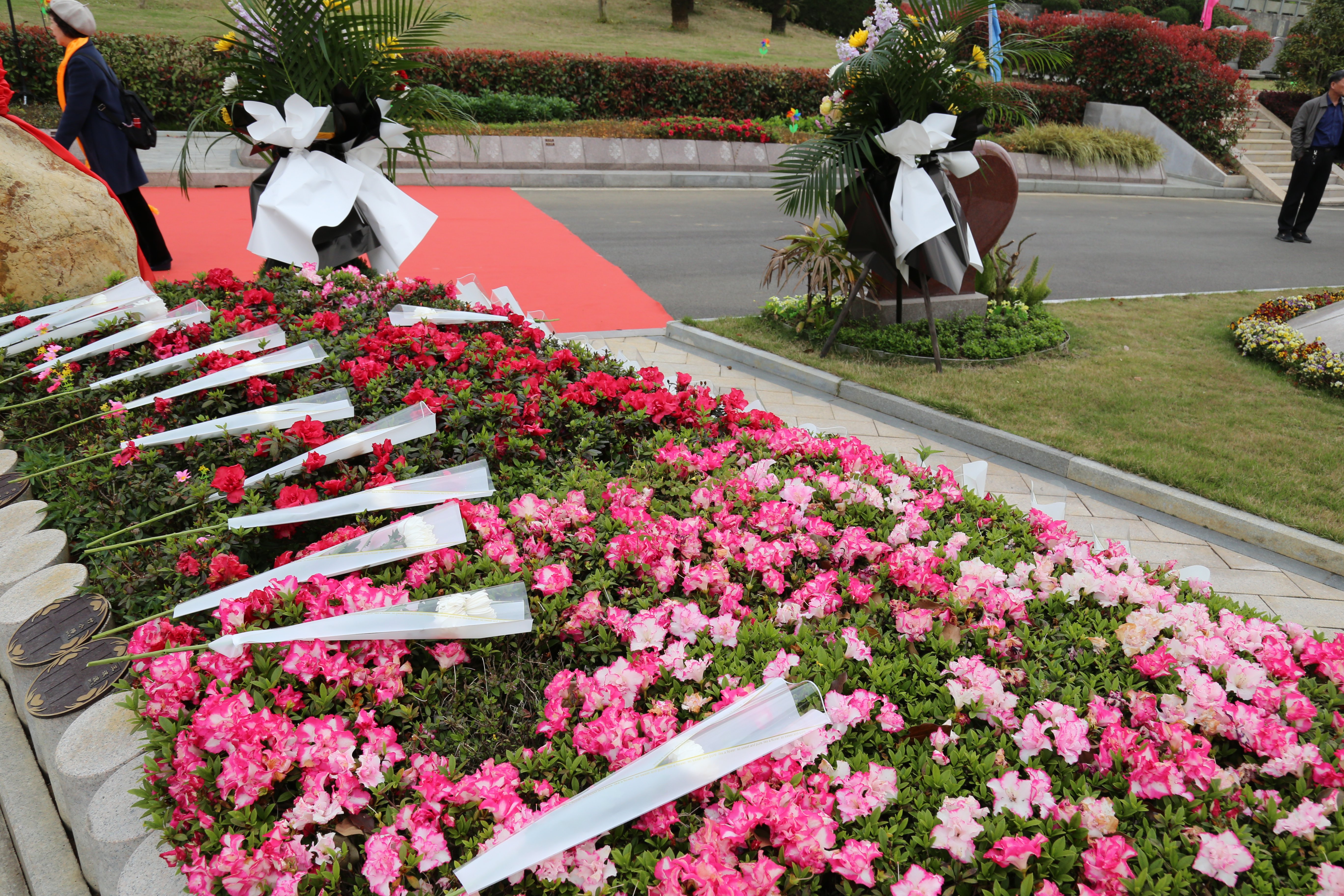 亿万先生MR·(中国集团)官方网站