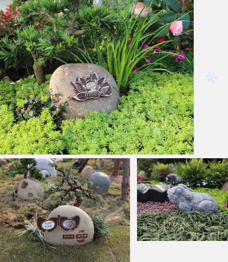 亿万先生MR·(中国集团)官方网站