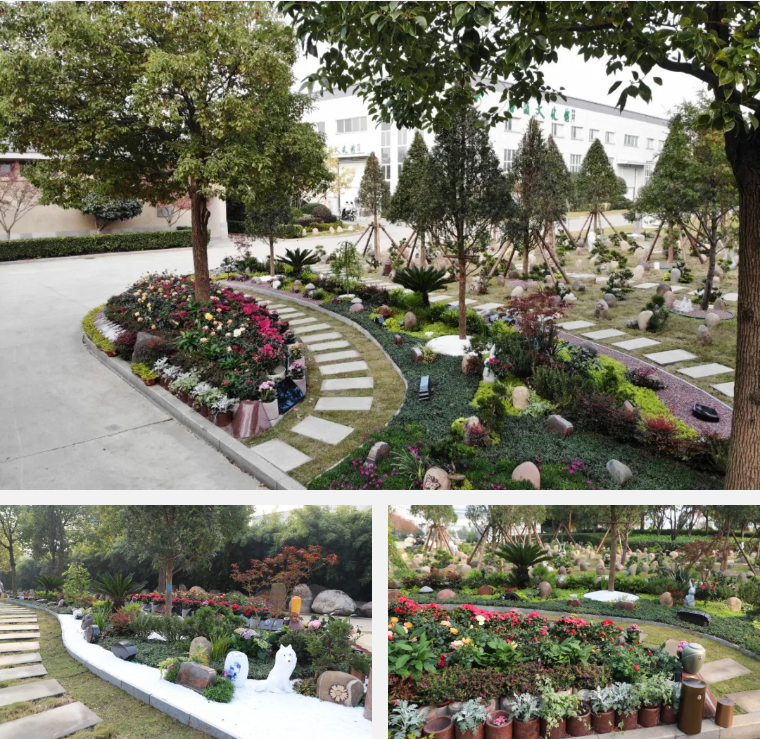 亿万先生MR·(中国集团)官方网站