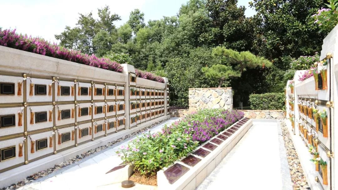 在合肥大蜀山文化陵园，，，，，与生命温柔对话