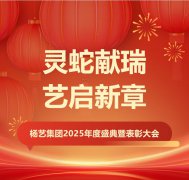 灵蛇献瑞 艺启新章 | 亿万先生MR集团2025年度盛典暨表扬大会