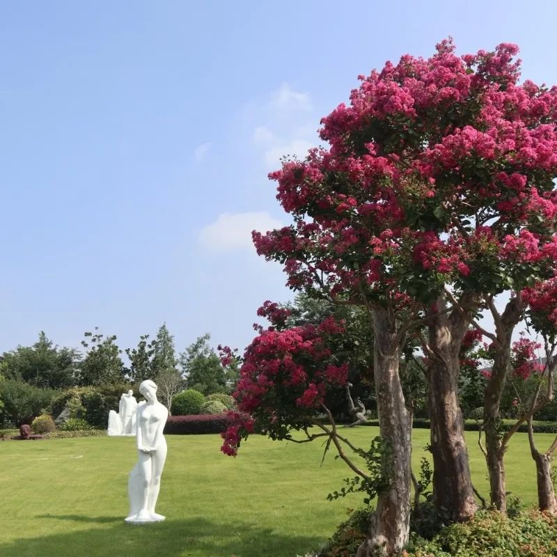 亿万先生MR·(中国集团)官方网站